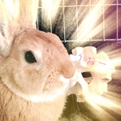 うに吾郎 ついてくる