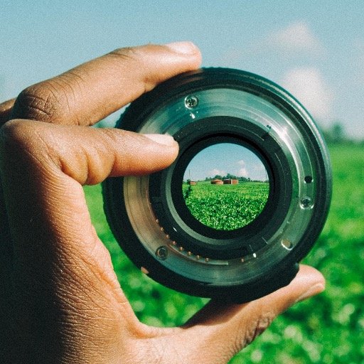 BranchOutAfrica's profile picture. 