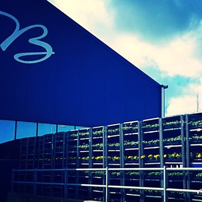 bevermeer_kw's profile picture. breed assortiment stekperkgoed & potplanten