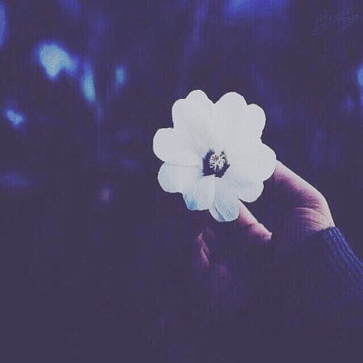 انا هلاليه لا يوجد تعبير عن عشقي له ولكن لدي نبذه عنه ما دام #الهلال ازرق فأنه يدل على الحكمه ويرمز برمز السماء.                  متذوقه للشعر#