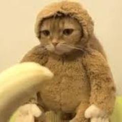 StannyV2's profile picture. 