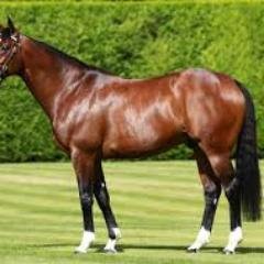 frankel