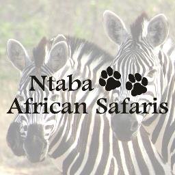 Robin & Stella Mountain's U.S. based travel company specializes in travel to Southern and East Africa.
*We don't send you to Africa - We take you there!*