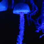 andrewart518's profile picture. 