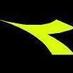 Diadora USA (@diadorausa) Twitter profile photo