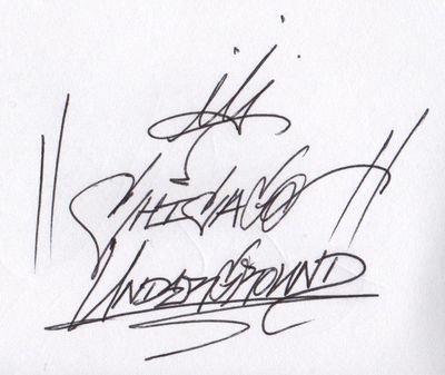 CHICAGO UNDERGROUND IS A NOT FOR PROFIT GEARED TOWARDS ENRICHING LIVES THROUGH EDUCATION, COMMUNITY SERVICE, ARTS/ENTERTAINMENT, AND EMPOWERMENT.