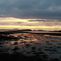 Pebblesmeller (@pebblesmeller) 's Twitter Profile