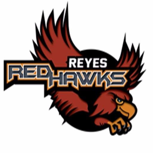 reyeslibrary's profile picture. 