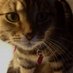 Suzanne H (@suzanneh2) Twitter profile photo Suzanne H (@suzanneh2) Twitter profile photo