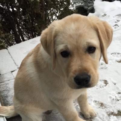 JMinMtl's profile picture. Middle Class, bilingual, father of 3 living in Canada.