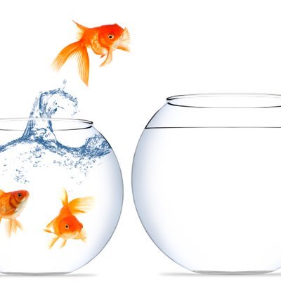 Fish Out Of Water Du Storycorps Twitter