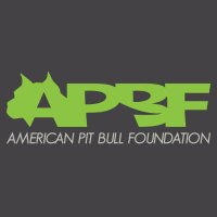 American Pit Bull Foundation(@APBF_dog) 's Twitter Profile Photo