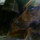 Connor Sharp - @ConConFF - Twitter