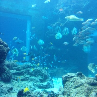 aftersnow300's profile picture. 裏アカウント