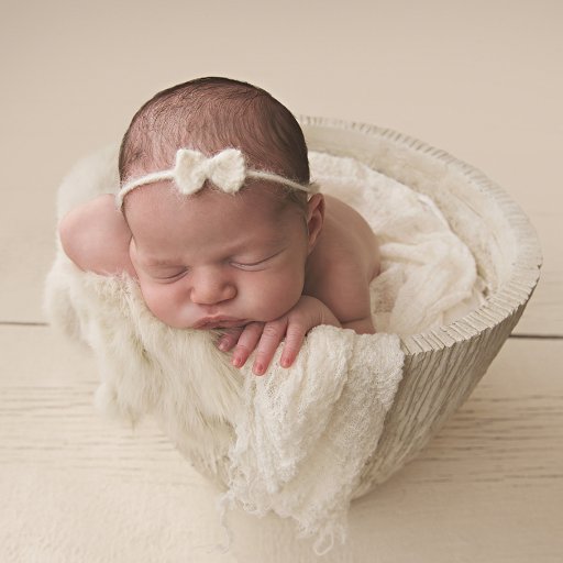 Fine art newborn, maternity and baby photography studio.
