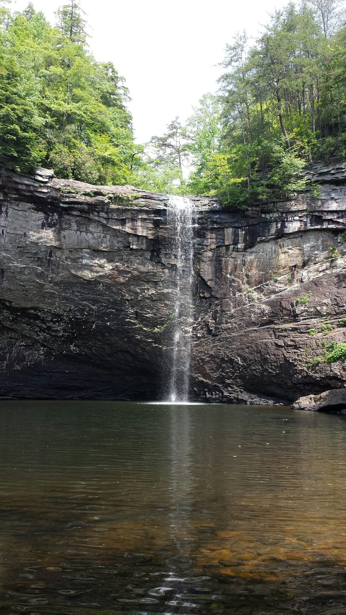 MSeanHogan's profile picture. Wasting away in Wateritaville