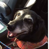 MIWA SATO (@fso1omq3e9dgchg) 's Twitter Profile