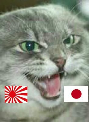 cat_japan4192's profile picture. 日本の伝統文化を護る/マスコミの偏向報道を許さない/消費税廃止/ 是々非々/愛国者支援/無言フォロー失礼します。フォロー頂きありがとうございます。
 #移民反対　 #スパイ防止方賛成　
＃外国人参政権反対    #夫婦別姓反対
 #反グローバリズム　#参政党支持　
#参政党サポーター 🍊#無言フォロー歓迎　#相互