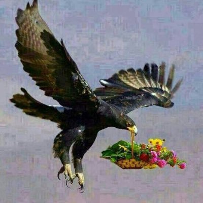 الالمايسترو جاسم Dahisahaban Twitter