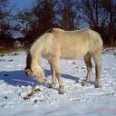 roland herbert - @mrneddy - Twitter