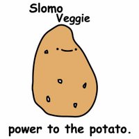 Slomo Veggie (@slomoveggie) 's Twitter Profile