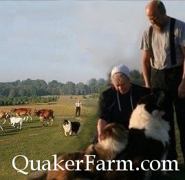 Sustainable living because it matters. Cotswold sheep, Raw Honey, Bakery, Collie dogs, workshops. Online children’s photo stories about farm life. Michigan.