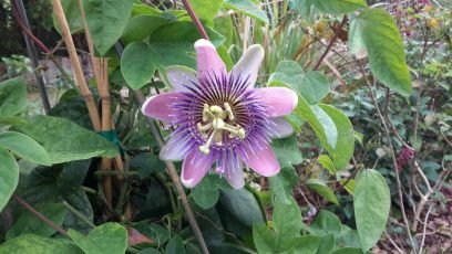 GloriaKasaras's profile picture. 