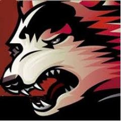 iueredwolves Profile Picture