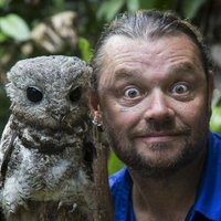 RR (@richardselvagem) 's Twitter Profile