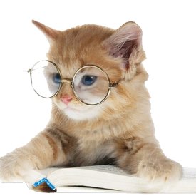 quacentina's profile picture. 