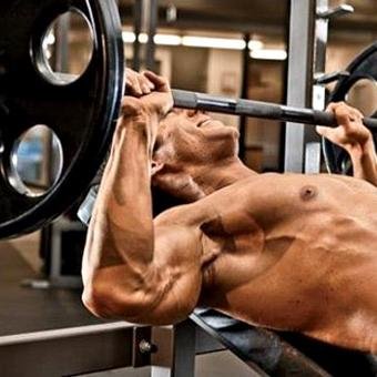 biofit3's profile picture. motivation , musculation et conseil