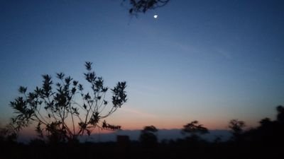 AndresGuerrer94's profile picture. Ingeniero Industrial.