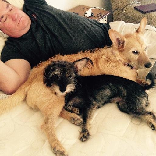 Daveofthburbs's profile picture. Always looking for a deal and a way around traffic. And BOY do I love fruit salad. I have one of those stick-figure family thingys on my car.