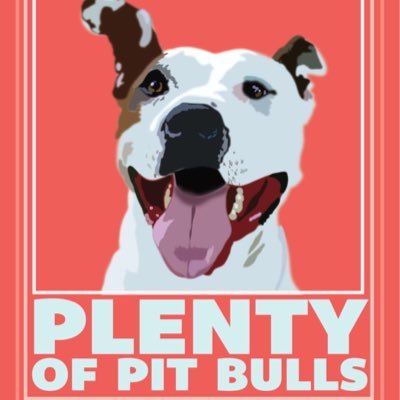 Central Florida's only Pit Bull specific animal rescue! 🐶 We are a 501c3 nonprofit dedicated to advocacy, education and community building #Adopt #Love #EndBSL