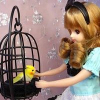 yurineco (@yurinecockatiel) Twitter profile photo