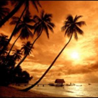 PJ Fauquher (@18coach) 's Twitter Profile