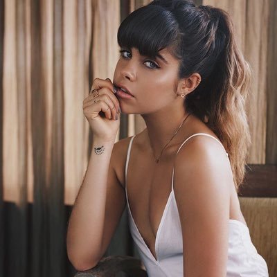 elialdrpg's profile picture. Mes chatons.