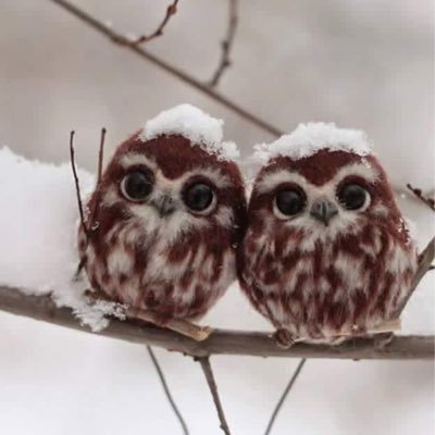 WLSmithJBS3's profile picture. I am a third grade teacher at J.B. Stephens Elementary school.