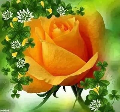 joanne66kuyava's profile picture. 