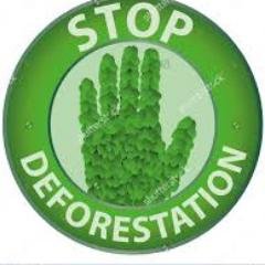 Check out my website on deforestation!