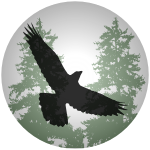 Naturalist on the life-long journey of learning my place