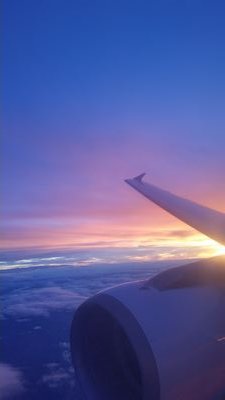 montse_funed's profile picture. 