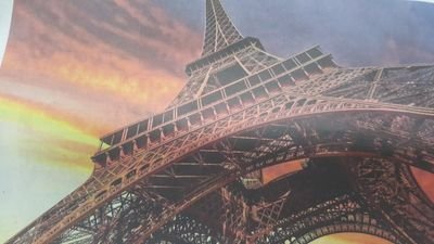 yc5559's profile picture. 