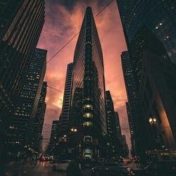 GaveDms's profile picture. 