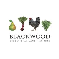 Blackwood Land (@blackwoodland) 's Twitter Profile