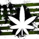 ⚠️the best marijuana around⚠️ dm for prices ❌SERIOUS BUYERS ONLY❌