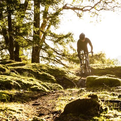 cody_canning's profile picture. 