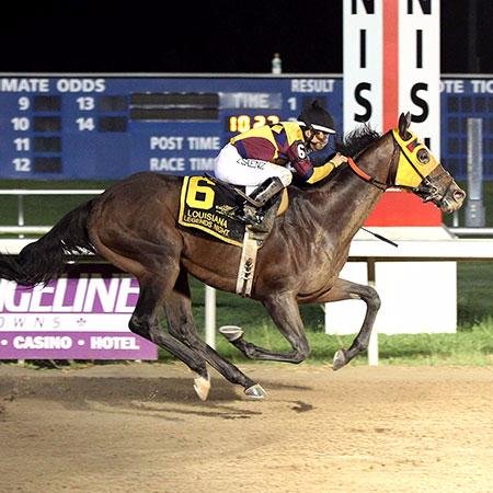 Check out the best live racing in the region!
Evangeline downs offers ample seating in grandstands and a state-of-the-art track betting parlor.