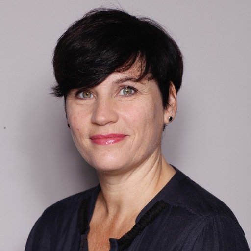 Arkitekt, PhD. Kommunikasjon og formidling, skole og utdanning, forskning, skriving, forholdet mellom arkitektur-menneske-samfunn. Verdispørsmål.