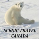A website about spectacular Canadian scenery, unique roadside attractions, and other things to do and see. Share your favourites at http://t.co/gE0KVSXxY1!